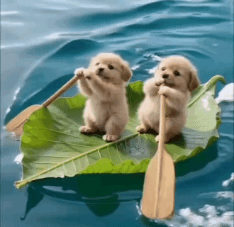 三生石上有你我的名字